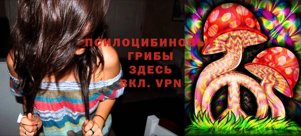 ECSTASY Новокубанск