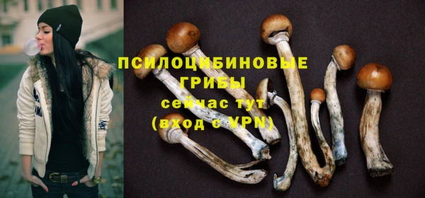 наркотики Новозыбков