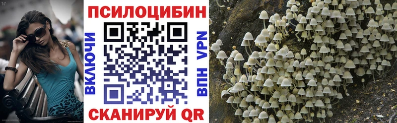 Псилоцибиновые грибы Magic Shrooms  что такое наркотик  Петровск 