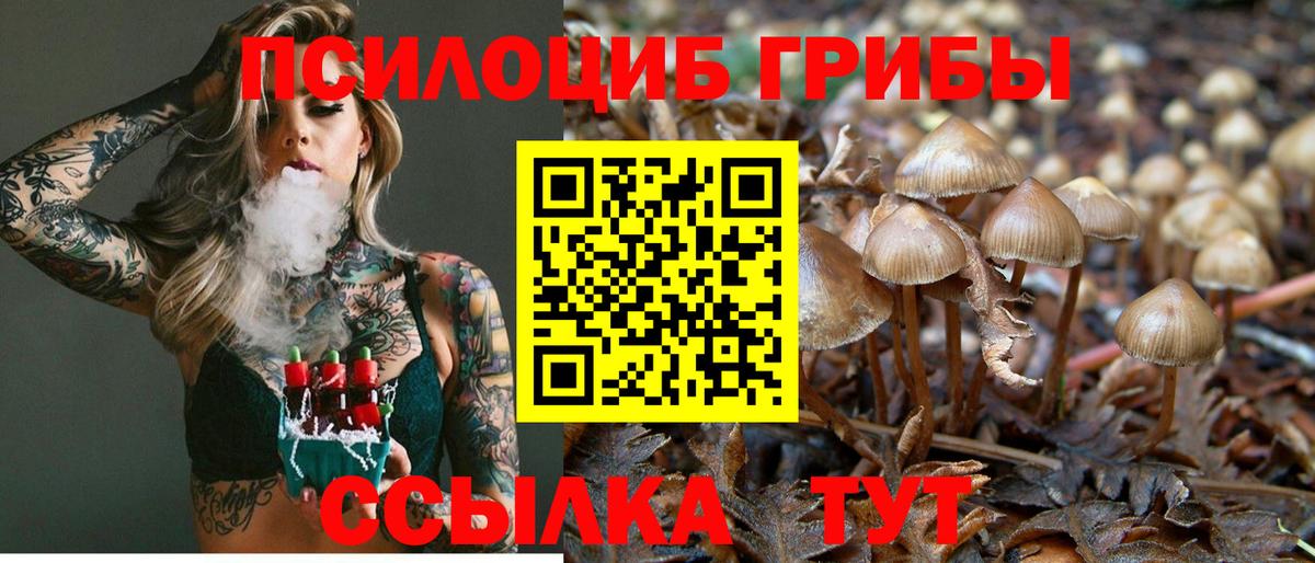 Псилоцибиновые грибы MAGIC MUSHROOMS Петровск