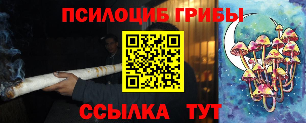 Галлюциногенные грибы Psilocybe  Петровск 